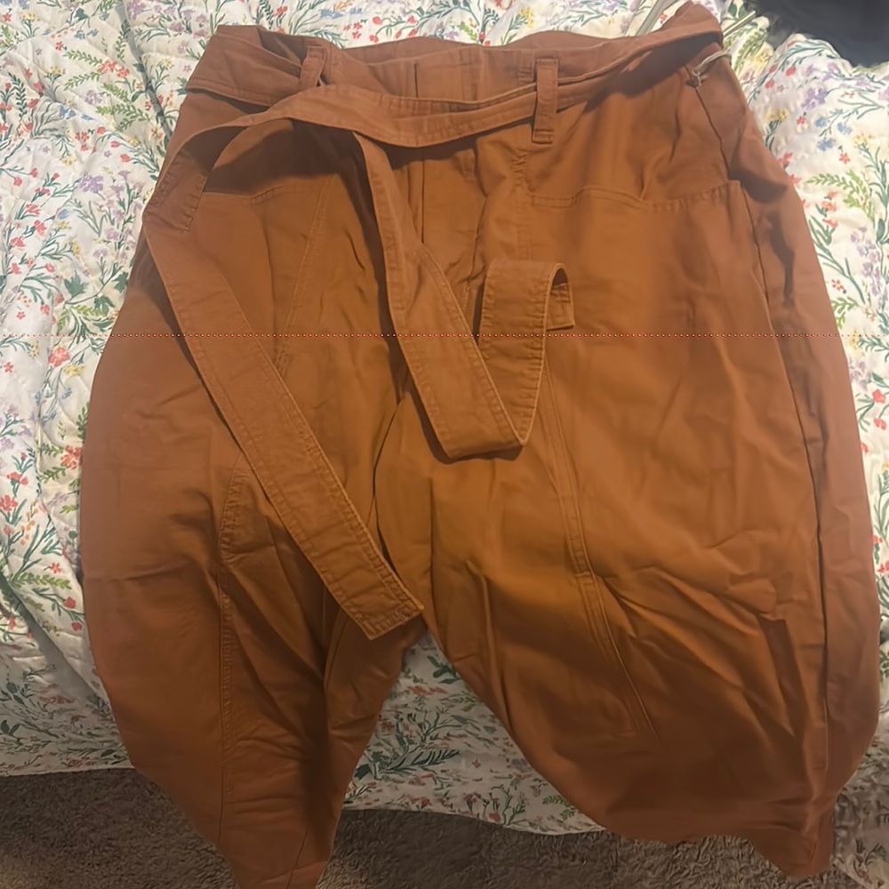 A New Day Burnt Orange/Brown Trouser pant
